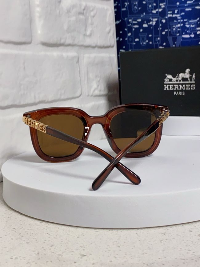 Hermes Sunglasses 821519-7