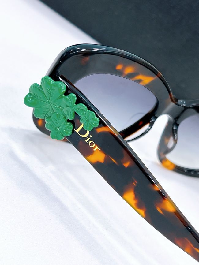 Dior Sunglasses 821536-1 Dior Sunglasses 821536-1