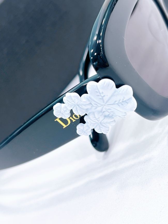 Dior Sunglasses 821536-8