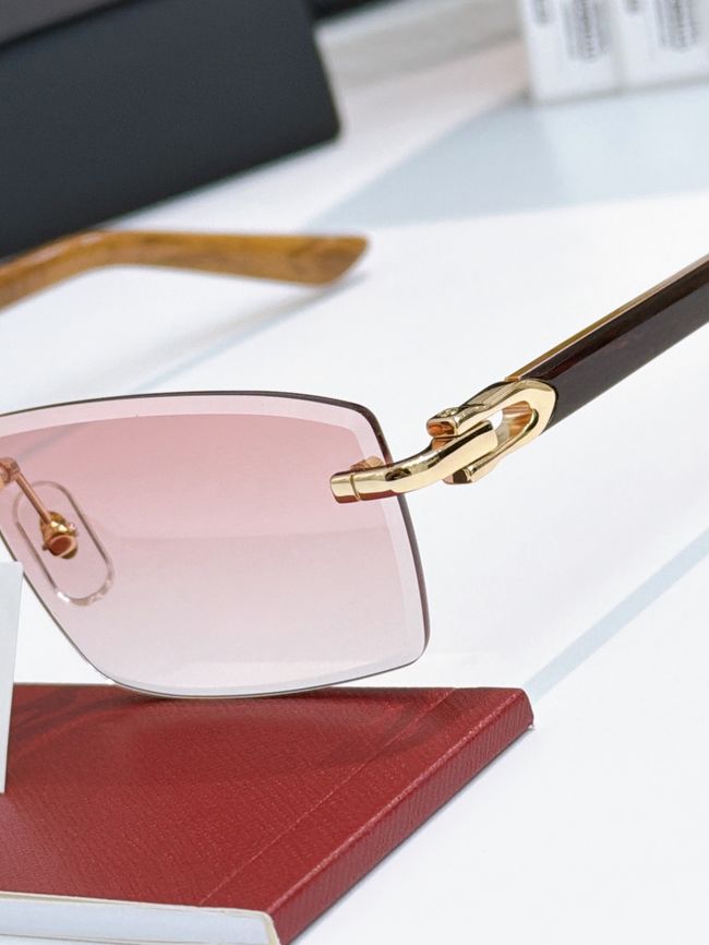 Cartier Sunglasses 821578-5