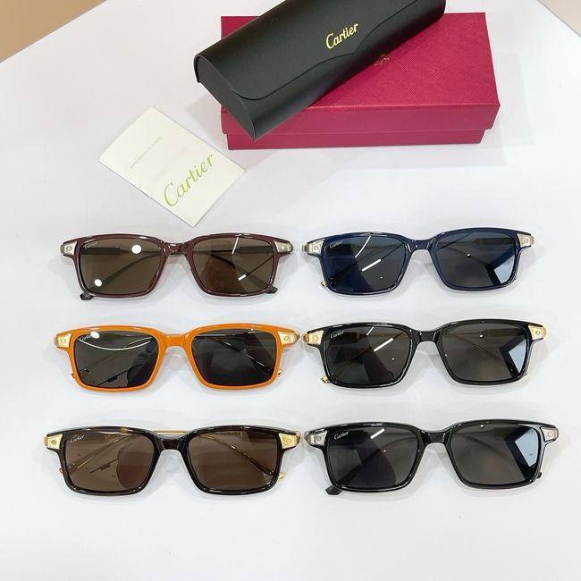 Cartier Sunglasses 821597-6
