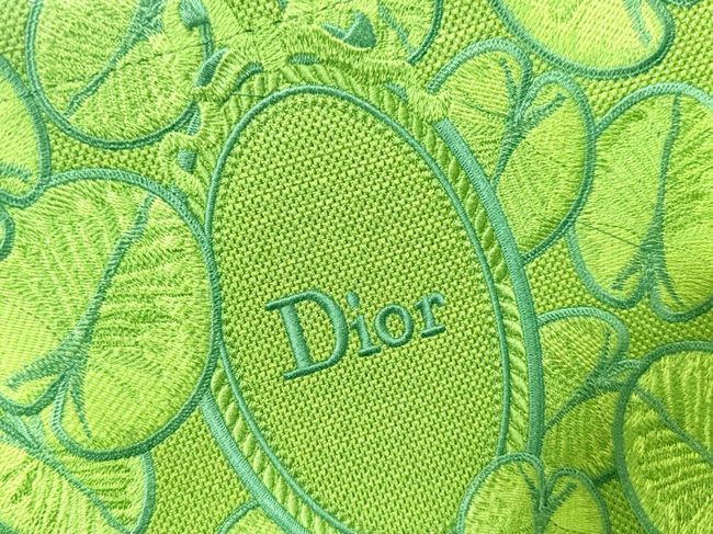 Small Dior Book Tote with Strap Embroidered M1404OE-13