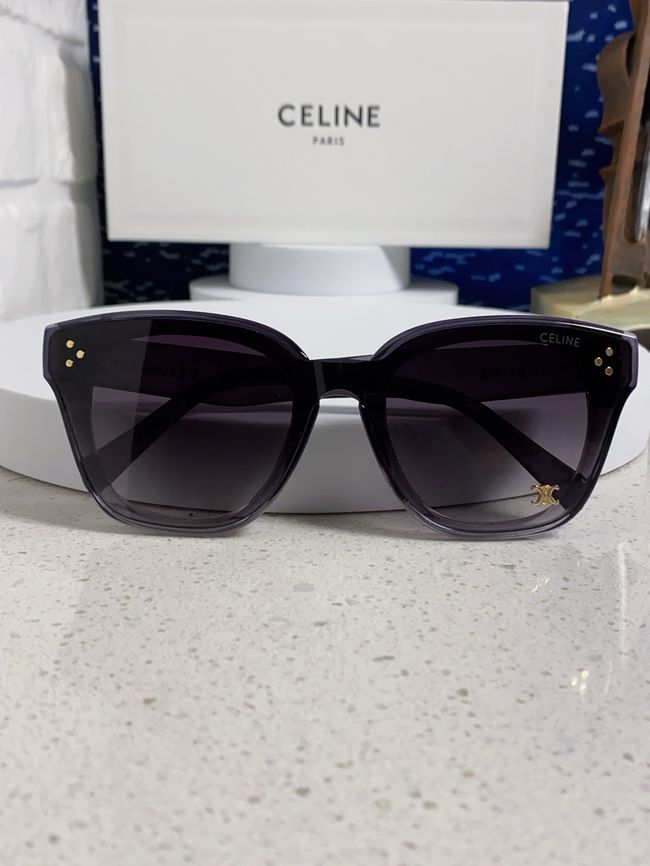 Celine Sunglasses 821622-3