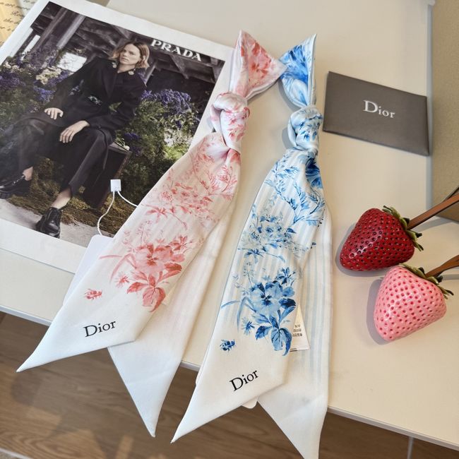 Dior Printed silk twill ribbon KY211-1