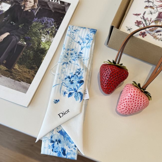 Dior Printed silk twill ribbon KY211-1