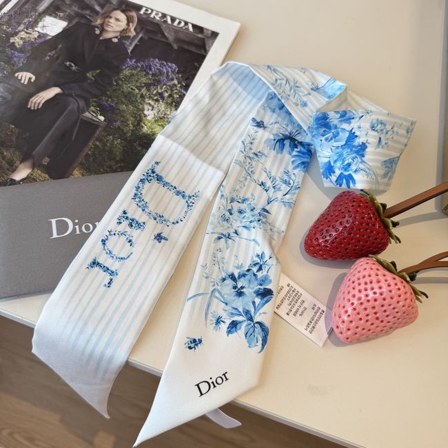 Dior Printed silk twill ribbon KY211-1
