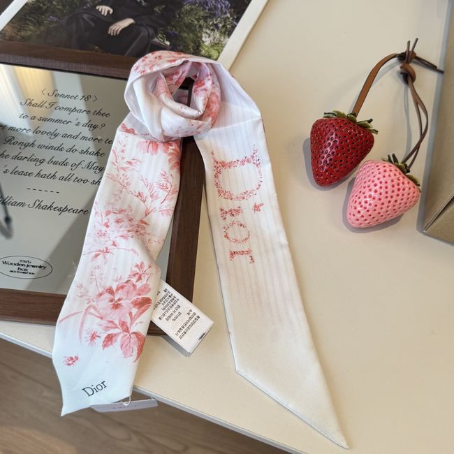 Dior Printed silk twill ribbon KY211-2