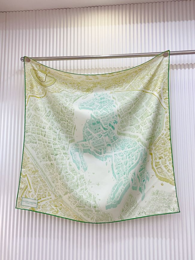 Hermes cashmere scarf H251529-2