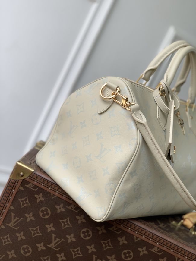 Louis Vuitton Speedy Soft 30 M3A165 Private Sage