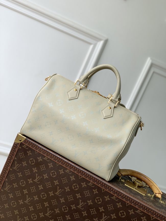 Louis Vuitton Speedy Soft 30 M3A165 Private Sage