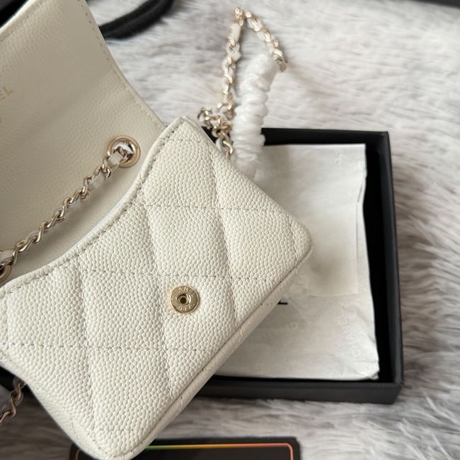Chanel Wallet on Chain AP2401 Beige Chanel Wallet on Chain AP2401 Beige