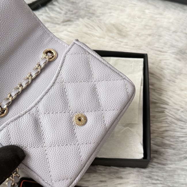 Chanel Wallet on Chain AP2401 light gray Chanel Wallet on Chain AP2401 light gray