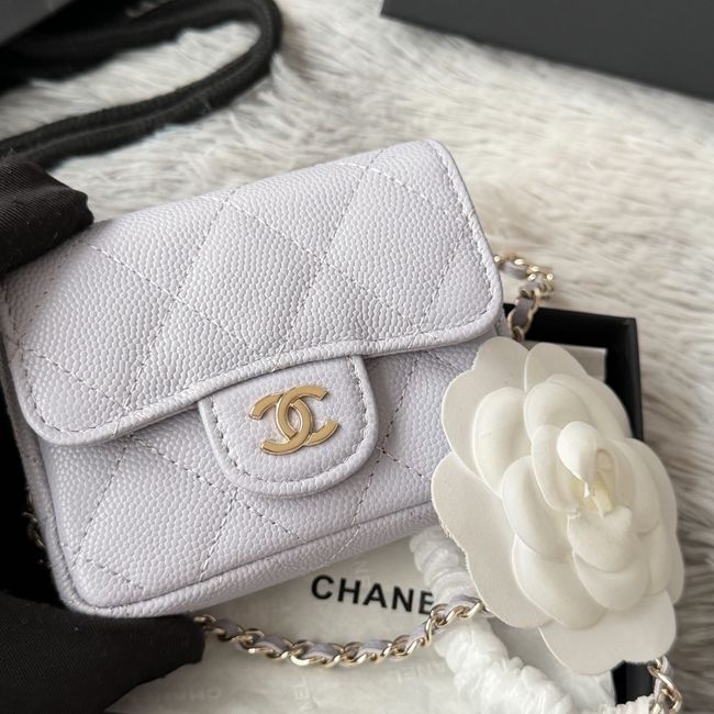 Chanel Wallet on Chain AP2401 light gray Chanel Wallet on Chain AP2401 light gray